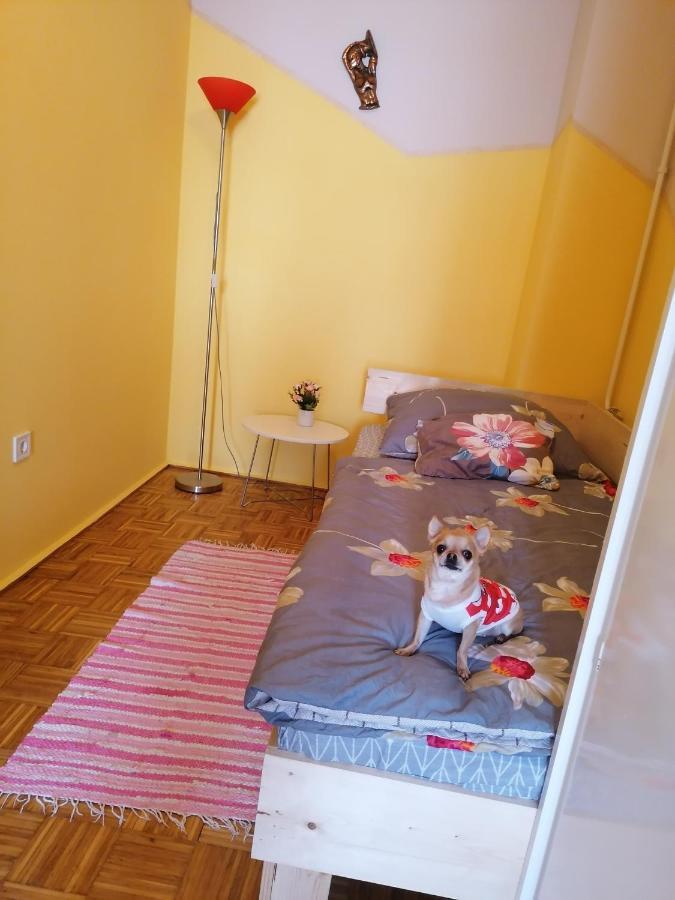Orsi Szálláshelyek Kecskemét 2 Extérieur photo